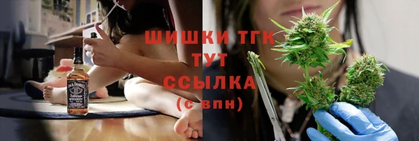 гидропоника Инта