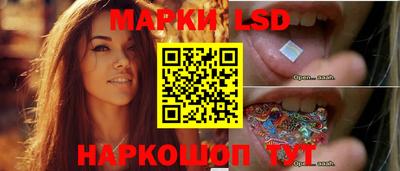 прущие грибы Обнинск