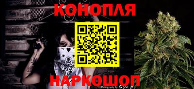 прущие грибы Обнинск