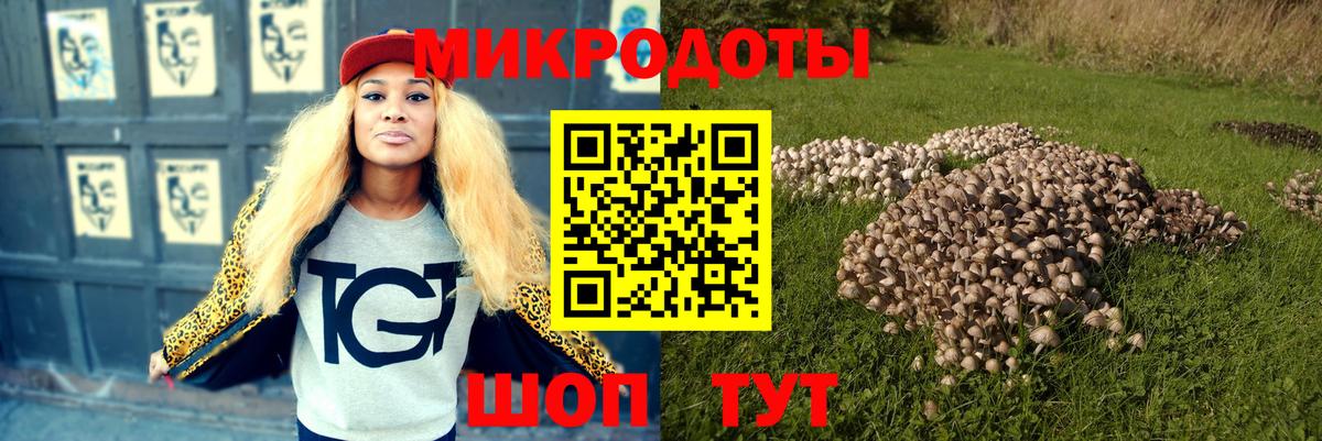 Галлюциногенные грибы Magic Shrooms Слободской