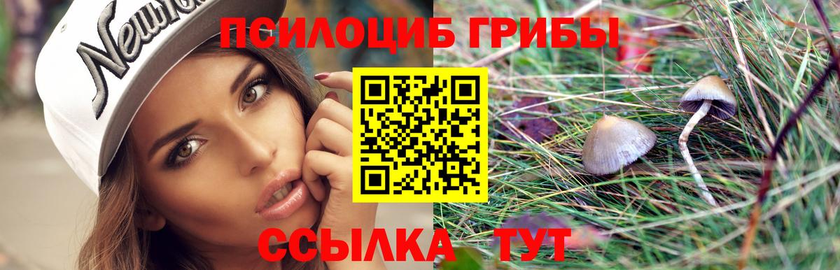Слободской  Псилоцибиновые грибы мухоморы  Вход с VPN  Псилоцибиновые грибы Psilocybe 