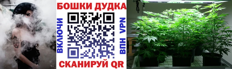 Марихуана гибрид  Слободской 